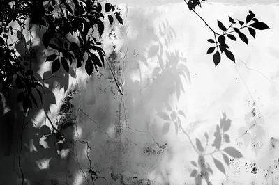 Shadows Of Tree Leaves On A Cracked Wall