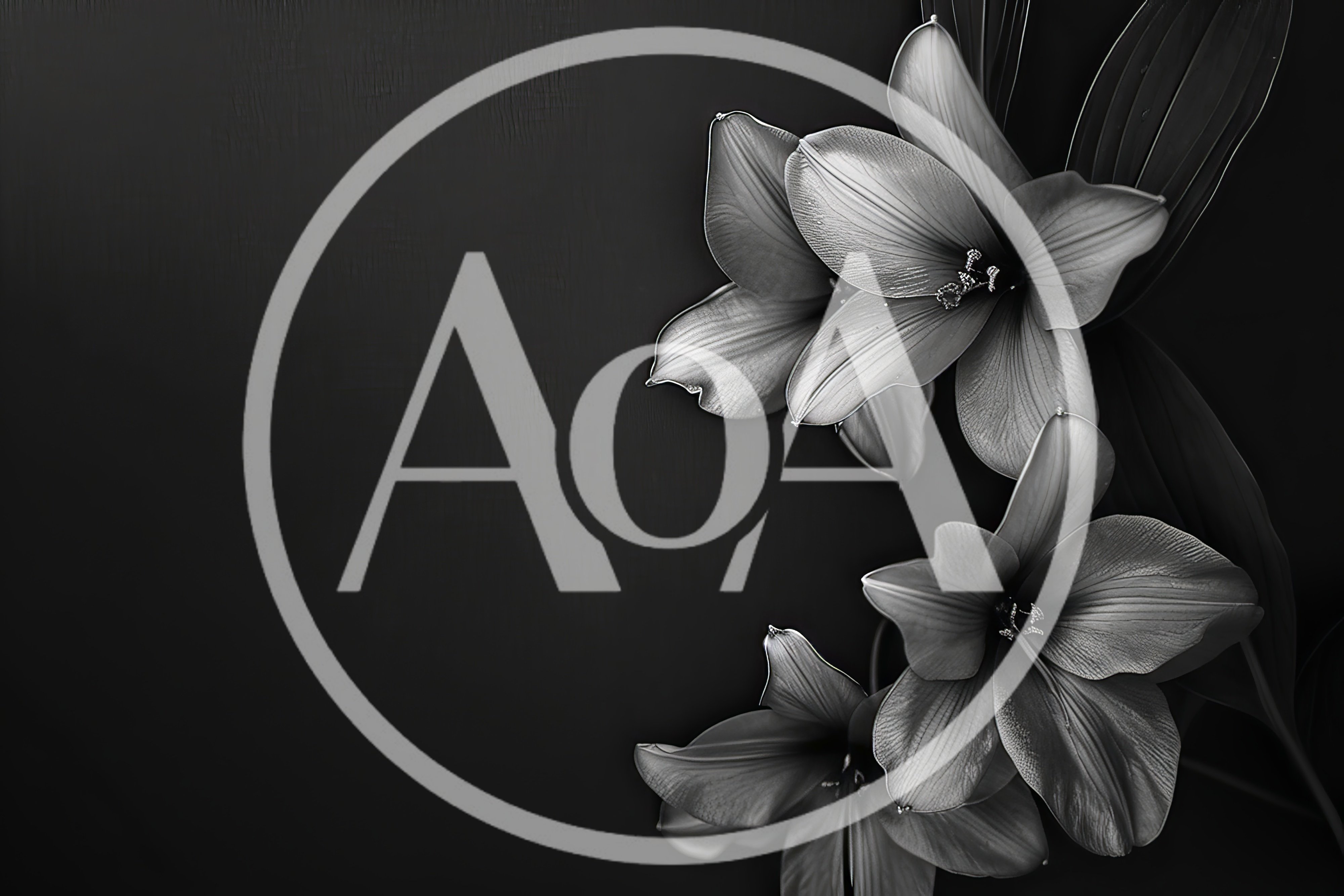 Elegant Black And White Lily Flowers On Dark Background