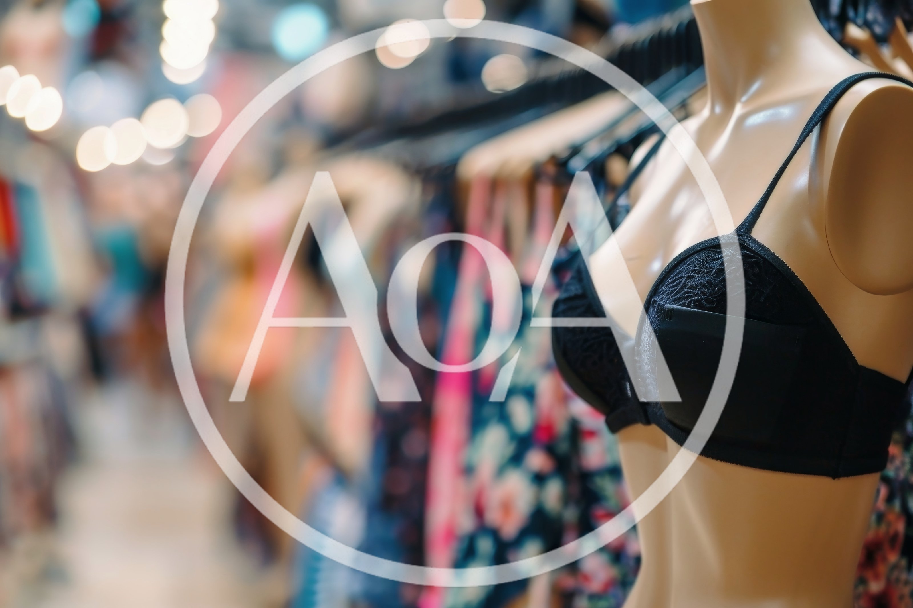 Mannequin Wearing Black Lace Bra In Clothing Store