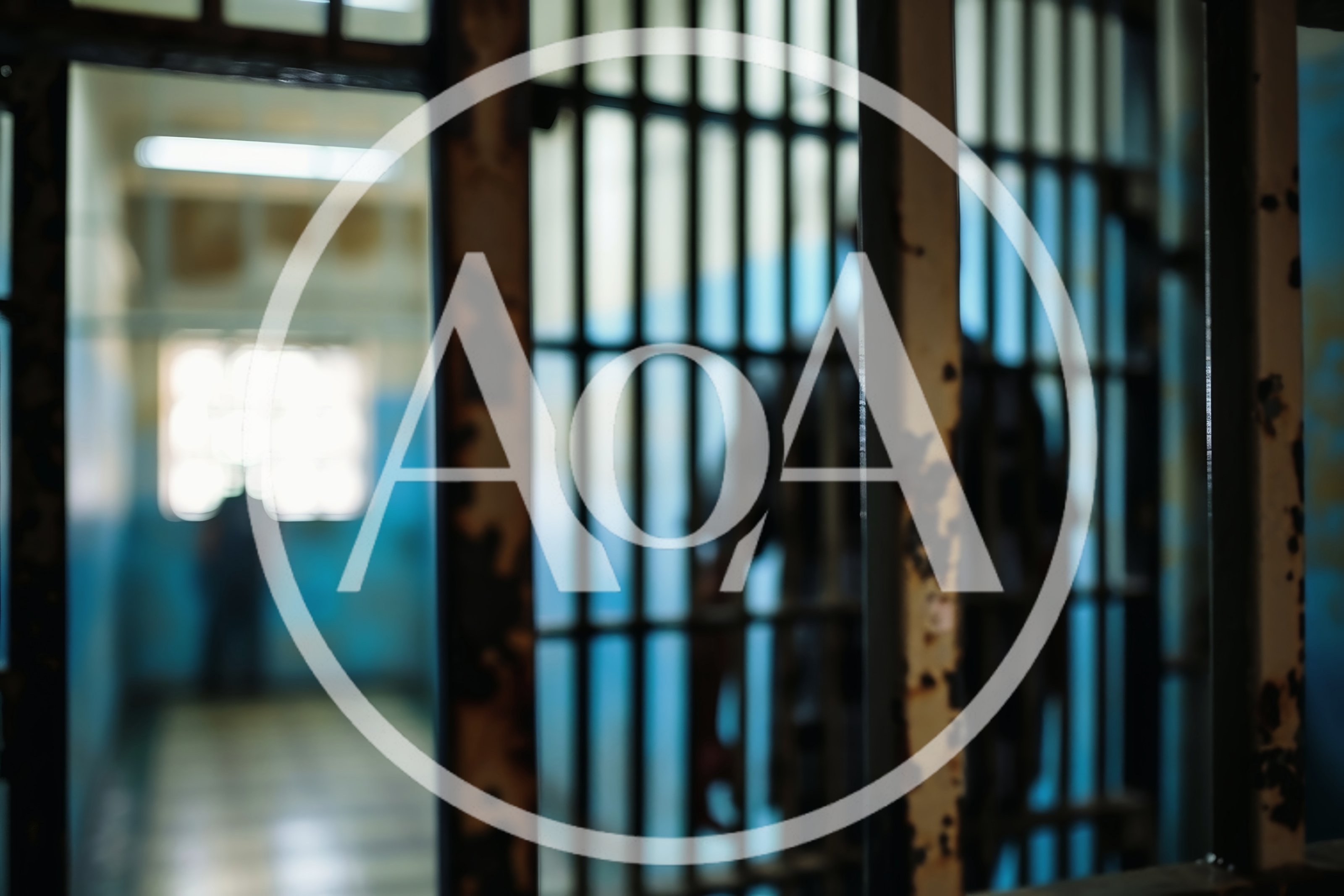 Silhouette Of A Prisoner Behind Metal Bars