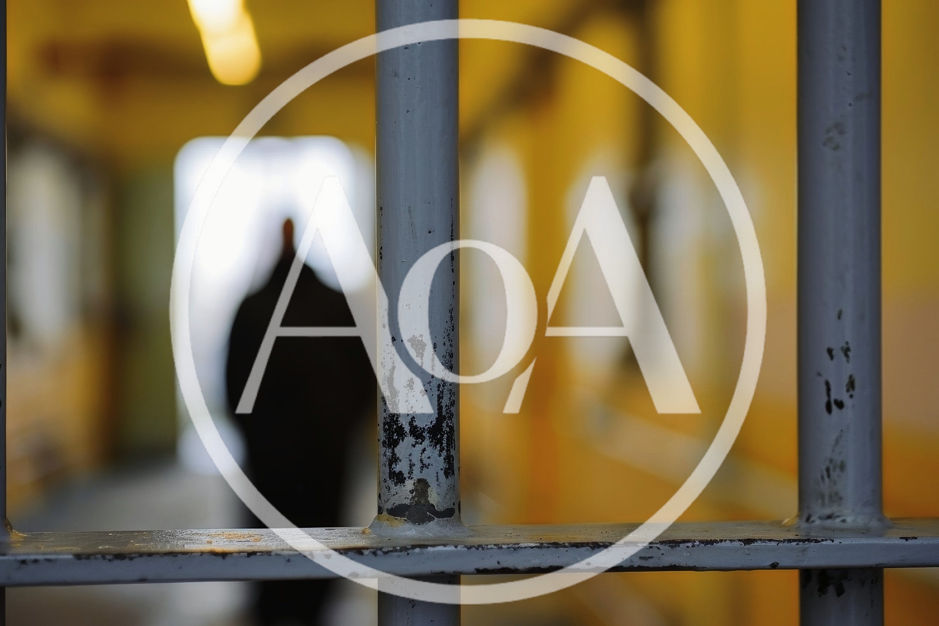 Silhouette Of A Person Standing Behind Prison Bars