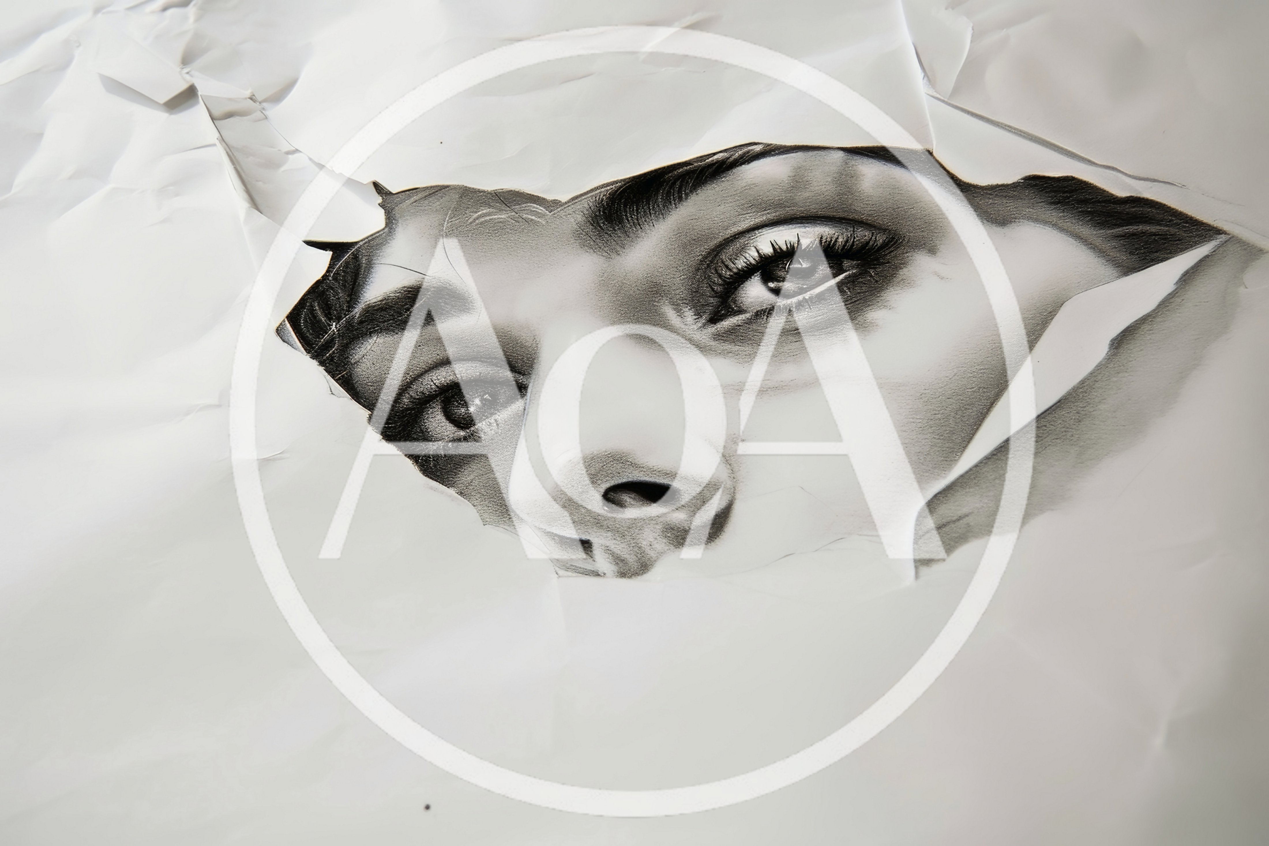 Hyperrealistic Pencil Drawing Of A Woman Peering Through Paper