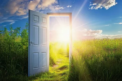 Open Door Standing In A Sunny Meadow