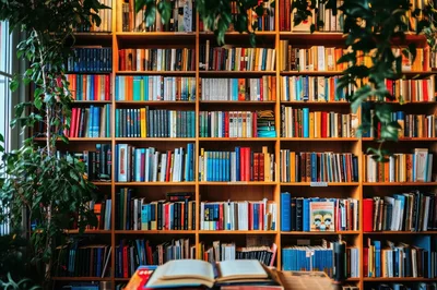 Open Book Resting On A Library Shelf