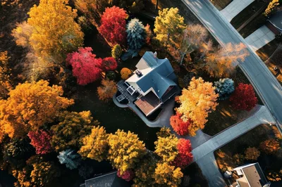 Aerial View Of A House Surrounded By Autumn Trees