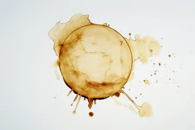 Coffee Cup Ring Stain On White Background