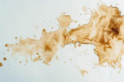 Coffee Stain Splatter On White Background