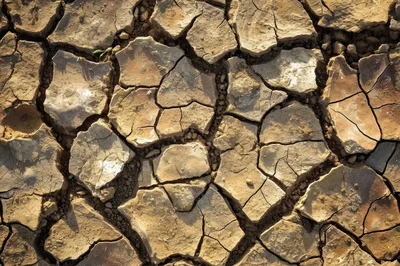 Dry Cracked Earth Texture Background