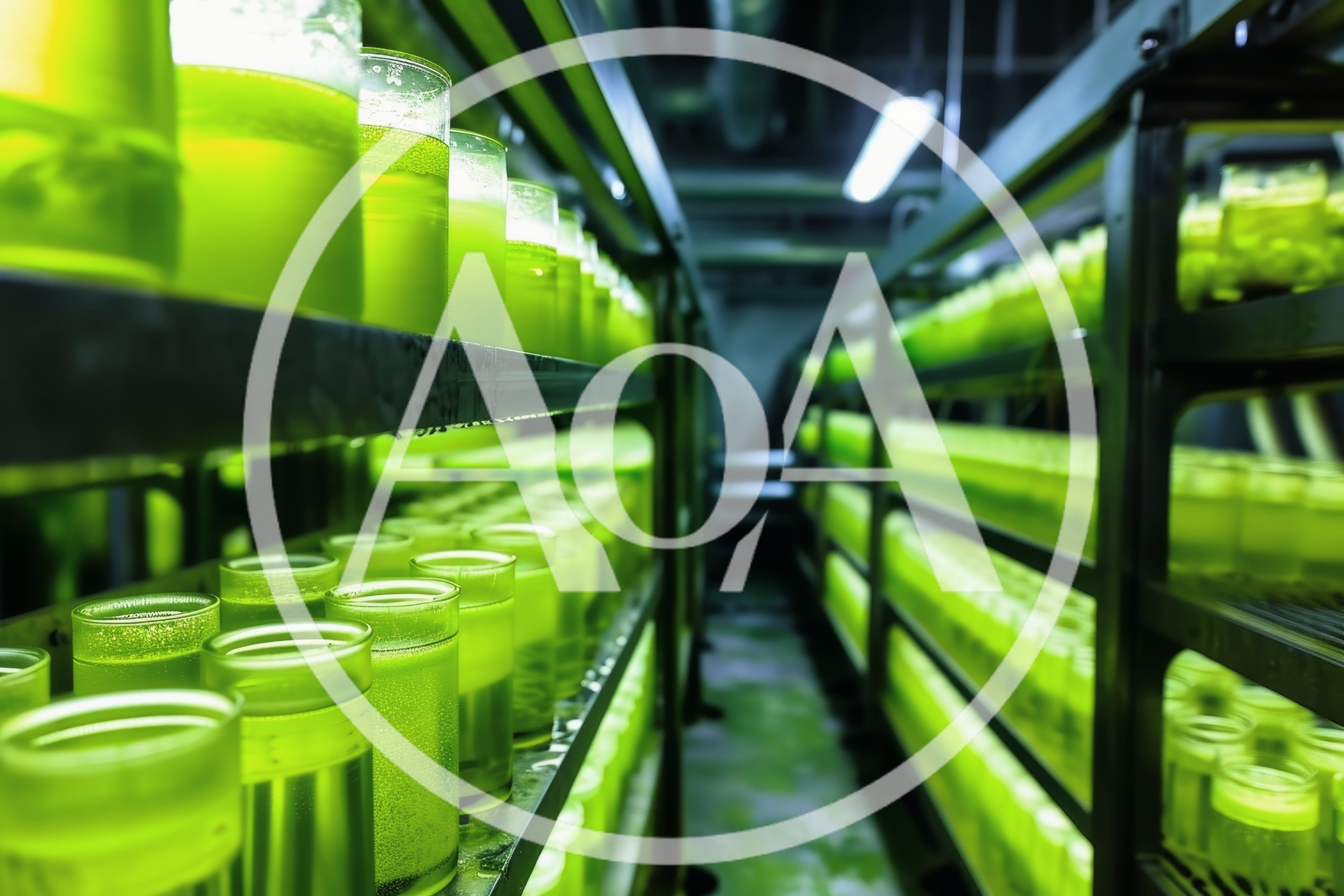Industrial Algae Cultivation In Laboratory Bioreactors