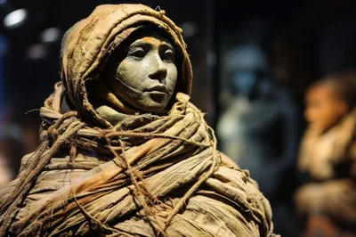 Ancient Egyptian Mummy Display In Museum Exhibit