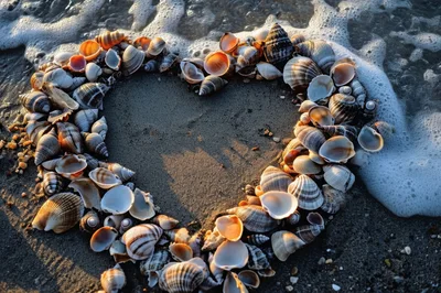 Seashells Arranged In A Heart Shape On Sandy Beach