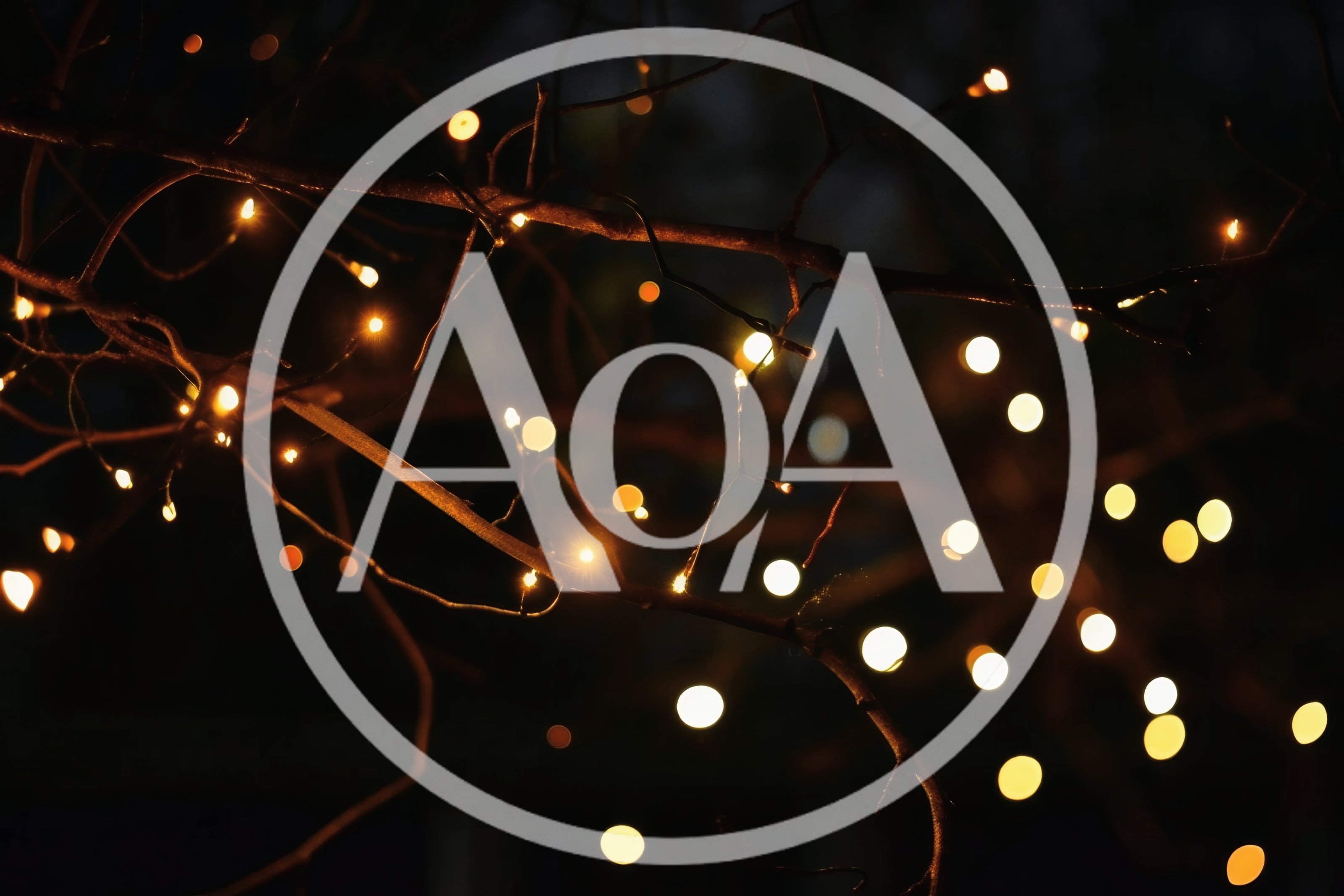 Fairy Lights Wrapped Around Tree Branches At Night