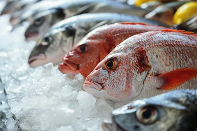 Fresh Red Snapper Fish Displayed On Crushed Ice