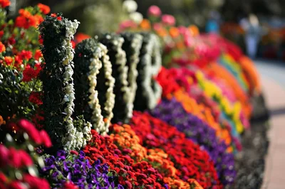 Floral Love Sculpture Display in a Botanical Garden