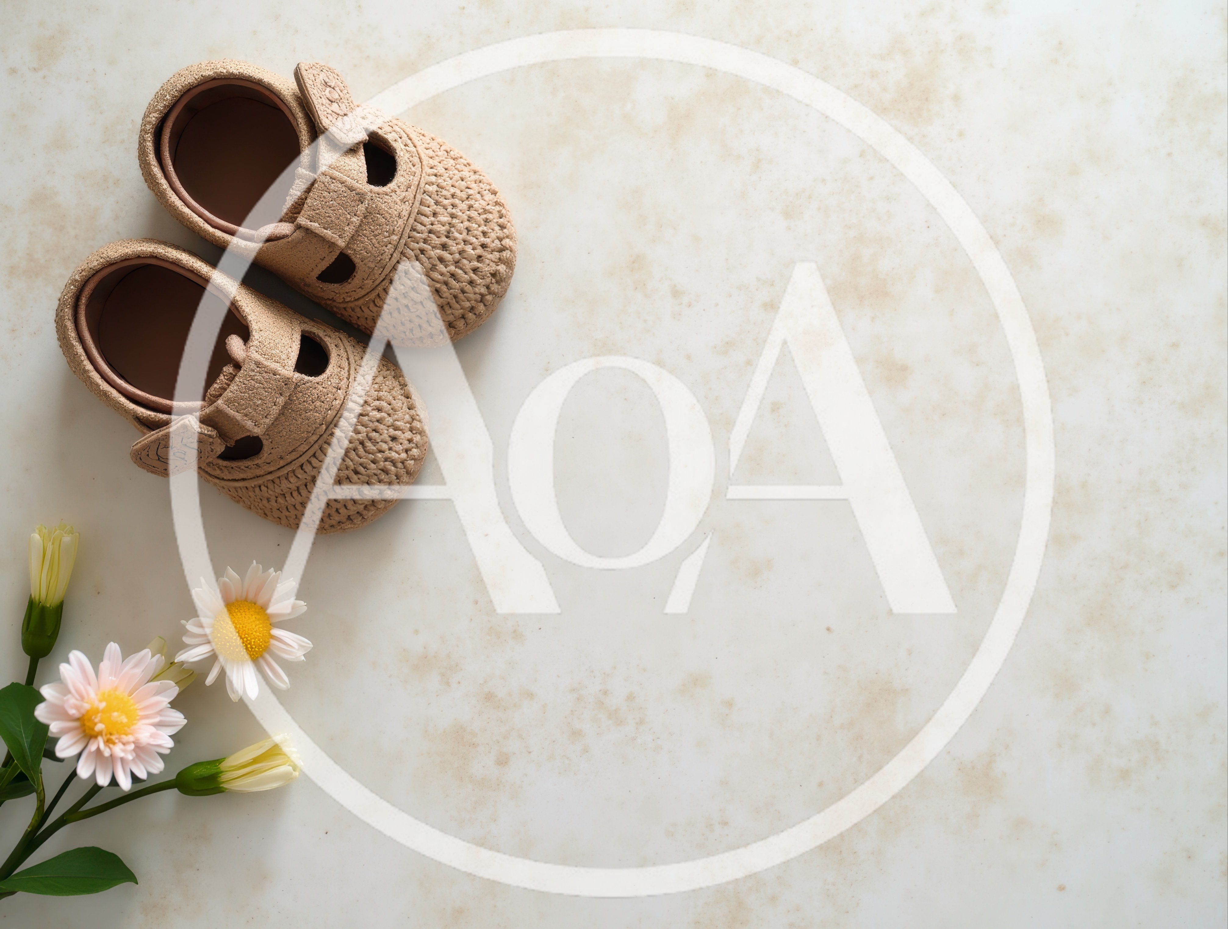 Pair of Baby Shoes with Flowers on Textured Background