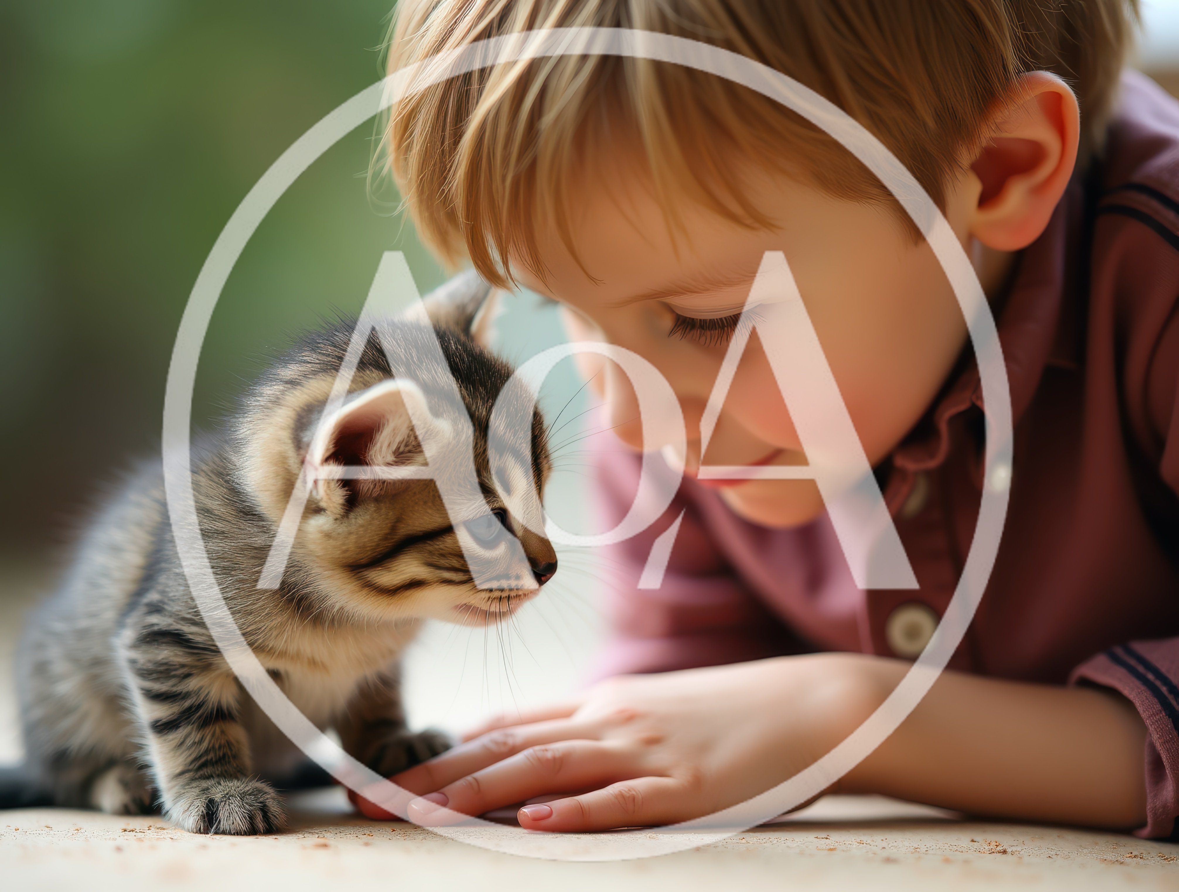 Young Boy Gently Interacting With A Small Tabby Kitten