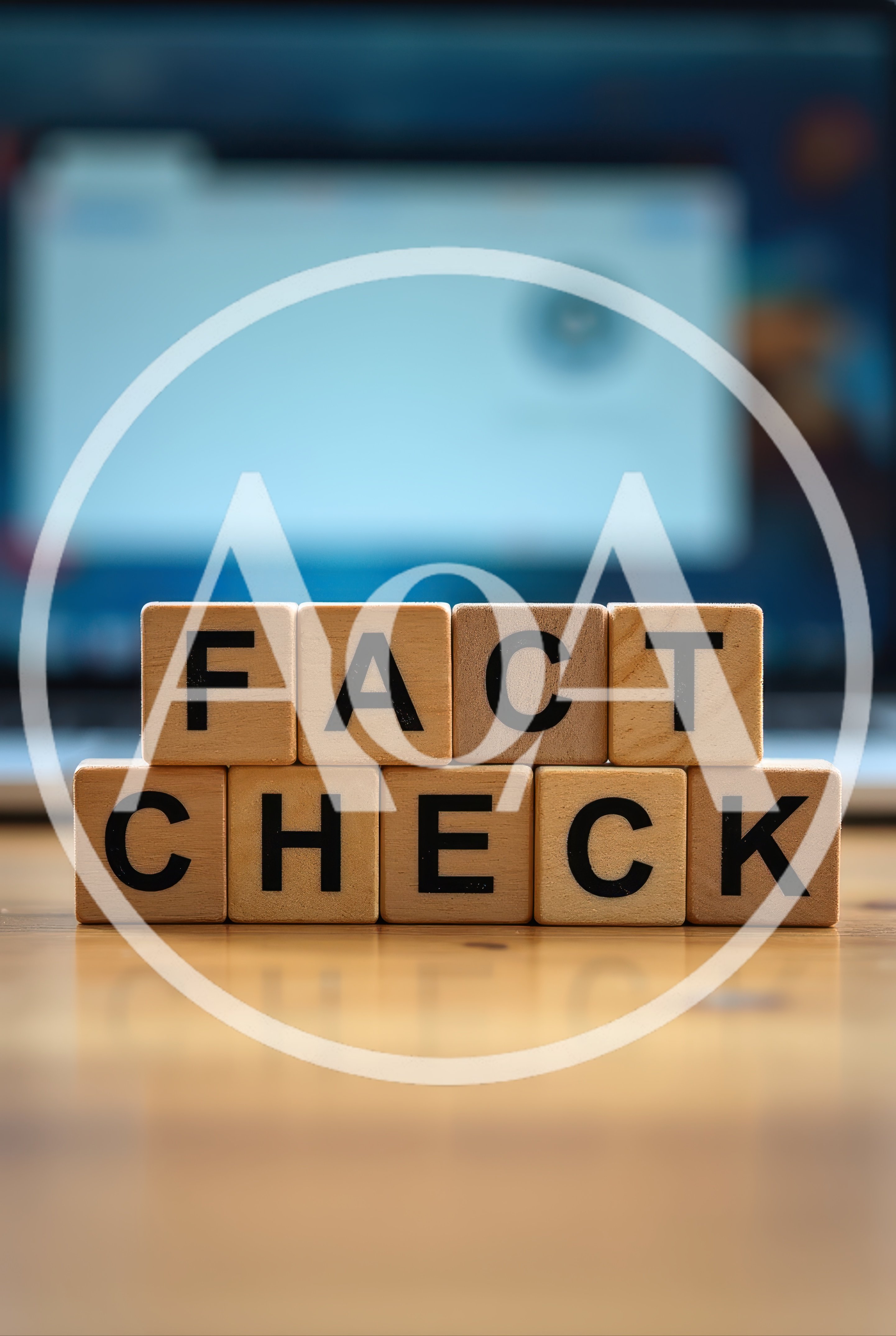 Wooden Blocks Spelling Fact Check on Desk