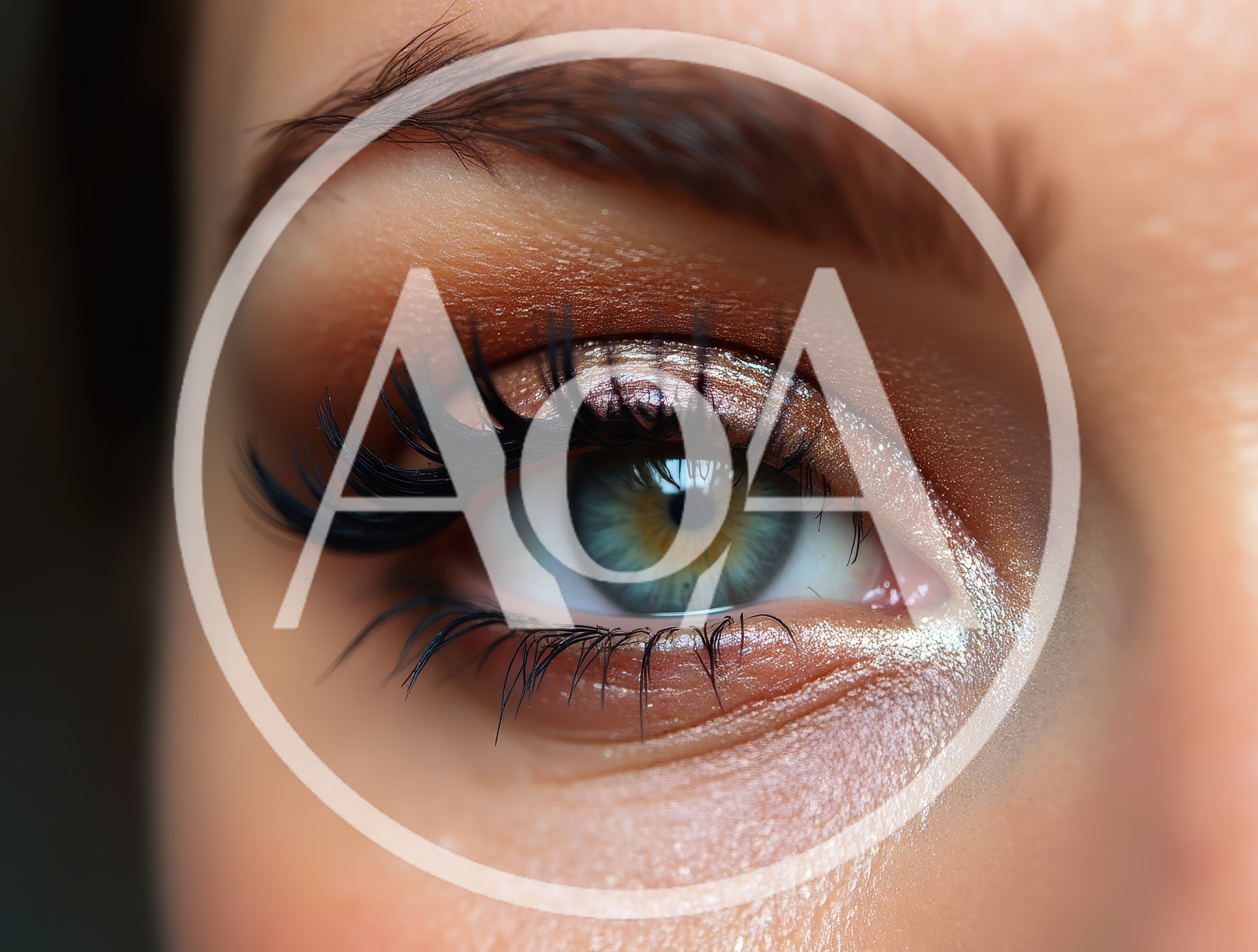 Extreme Close Up Of A Woman's Eye With Makeup