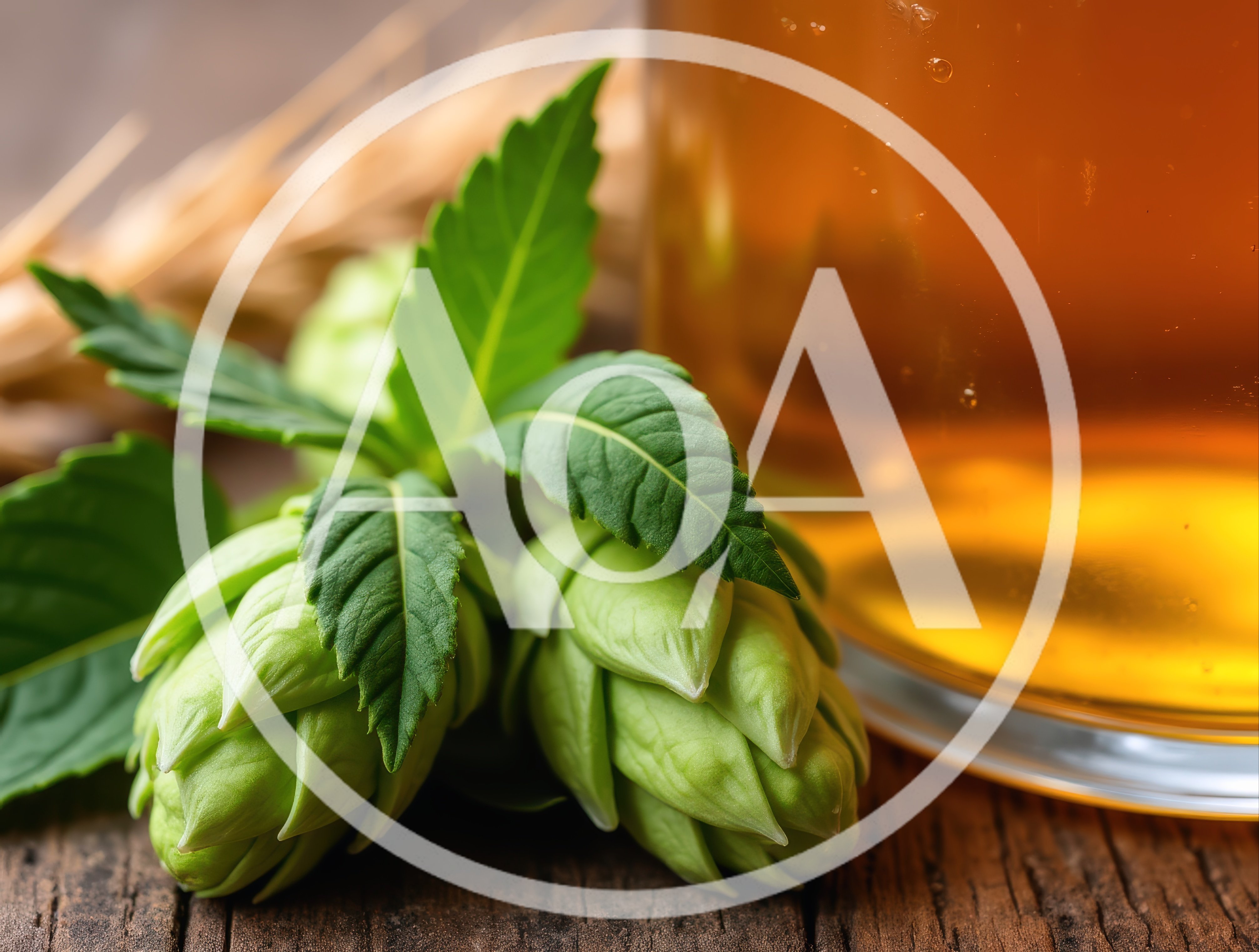 Fresh Green Hops and Beer Glass on Wooden Table