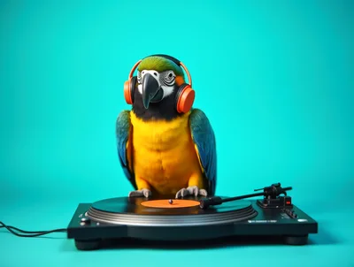 Blue and Yellow Macaw Wearing Headphones DJing