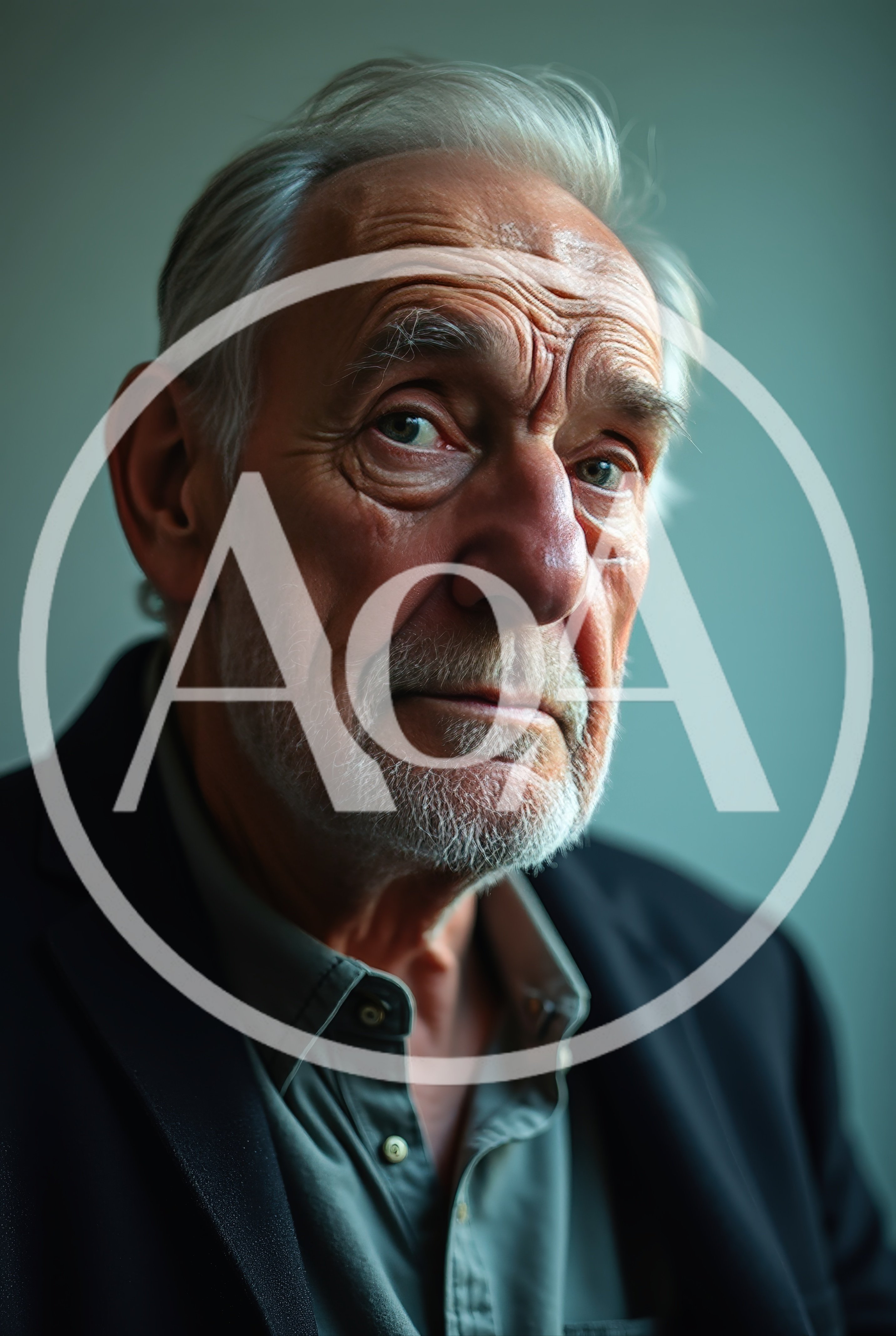 Portrait Of A Distinguished Elderly Man