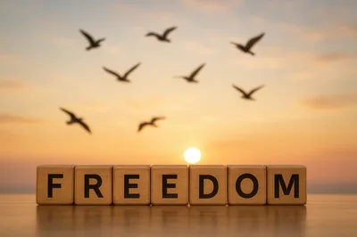 Wooden Blocks Spelling Freedom With Flying Birds At Sunset