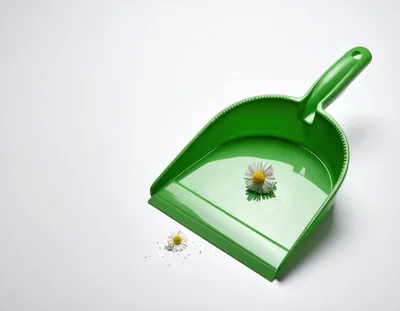 Green Plastic Dustpan With Two Daisy Flowers