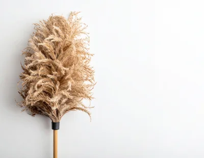 Feather Duster Isolated On White Background