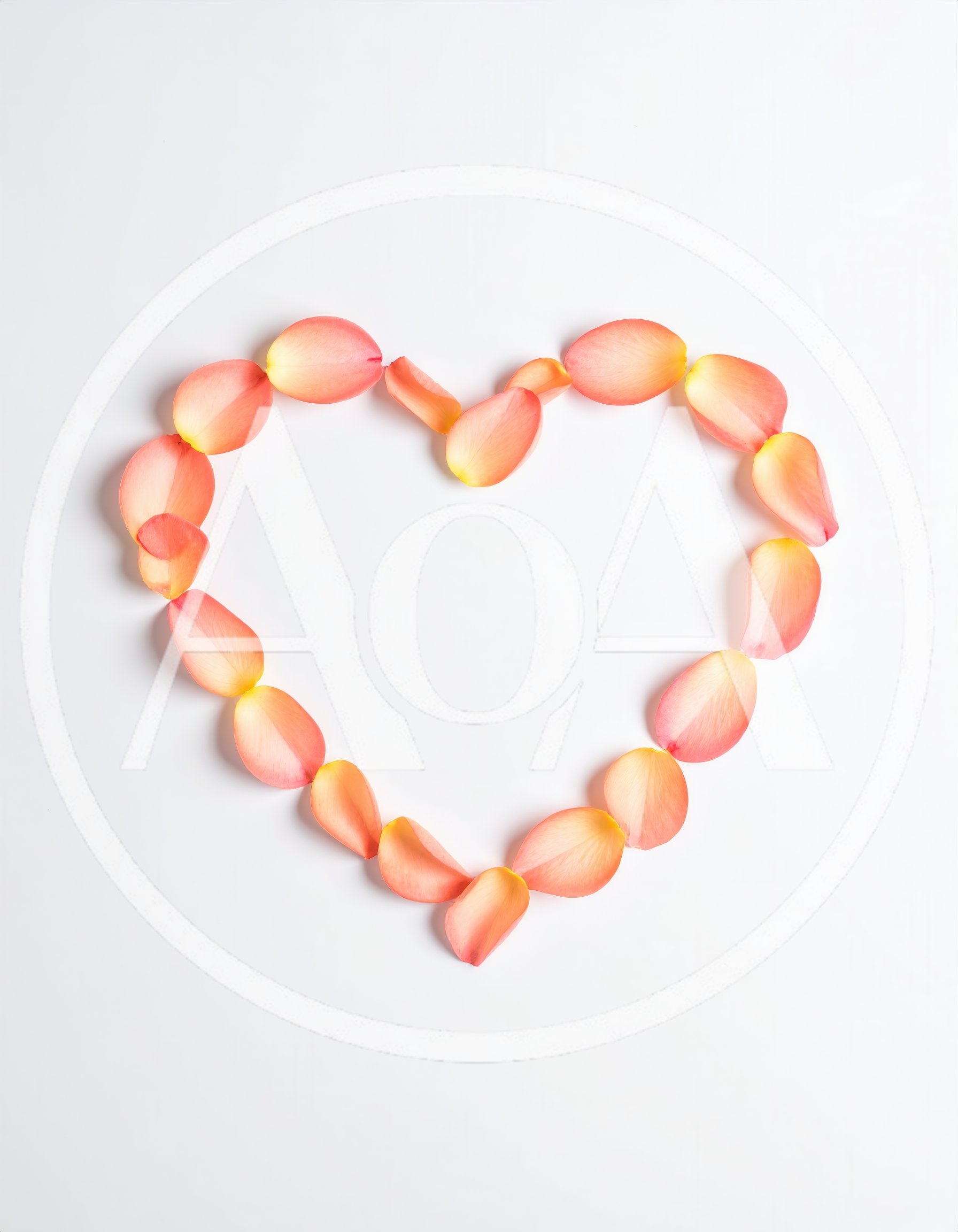 Heart Shape Made of Peach Rose Petals
