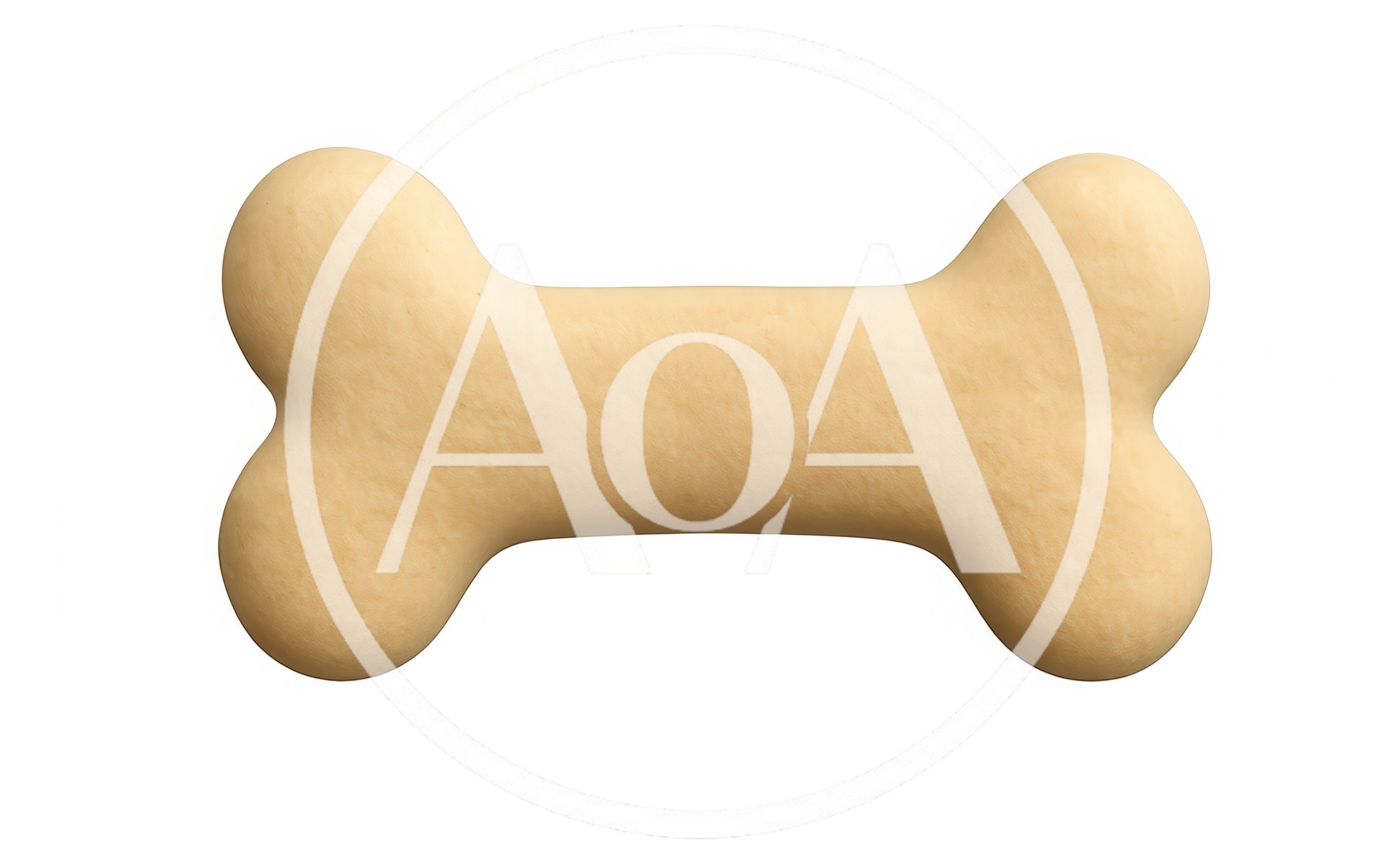 Single Dog Bone Biscuit Isolated On White Background