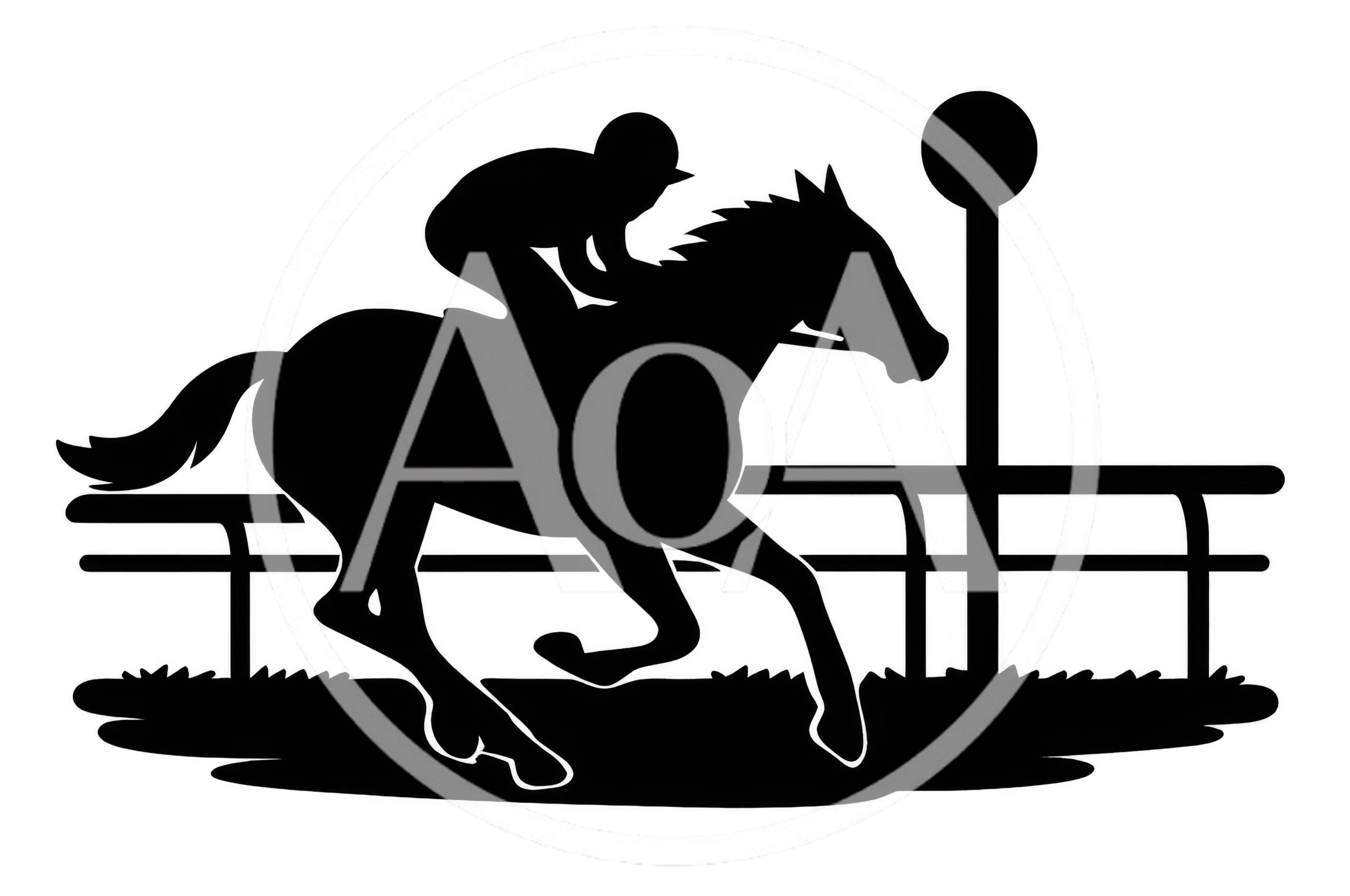 Silhouette Of A Jockey Riding A Racehorse