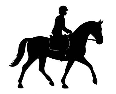 Silhouette Of A Horse And Rider In Motion