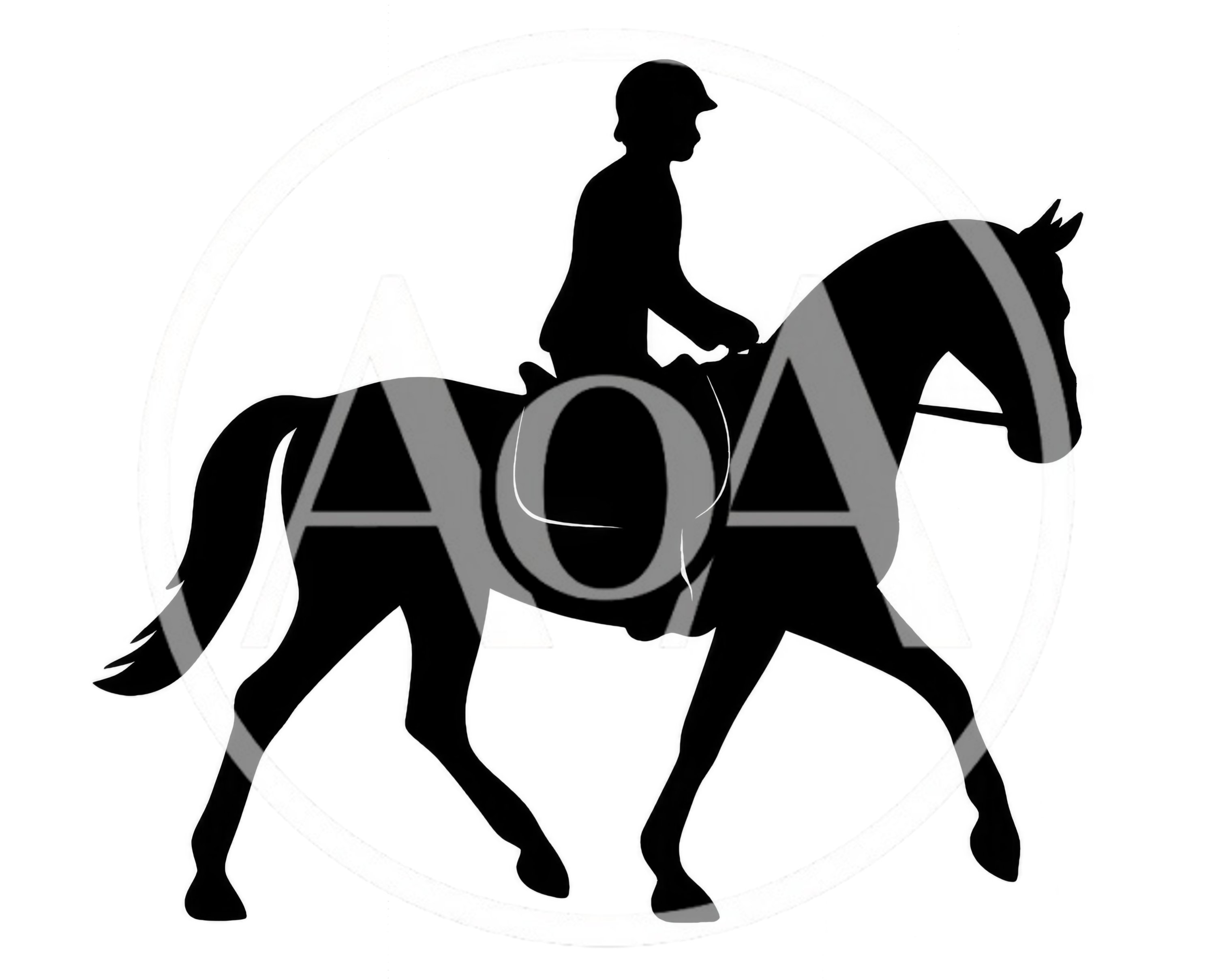Silhouette Of A Horse And Rider In Motion