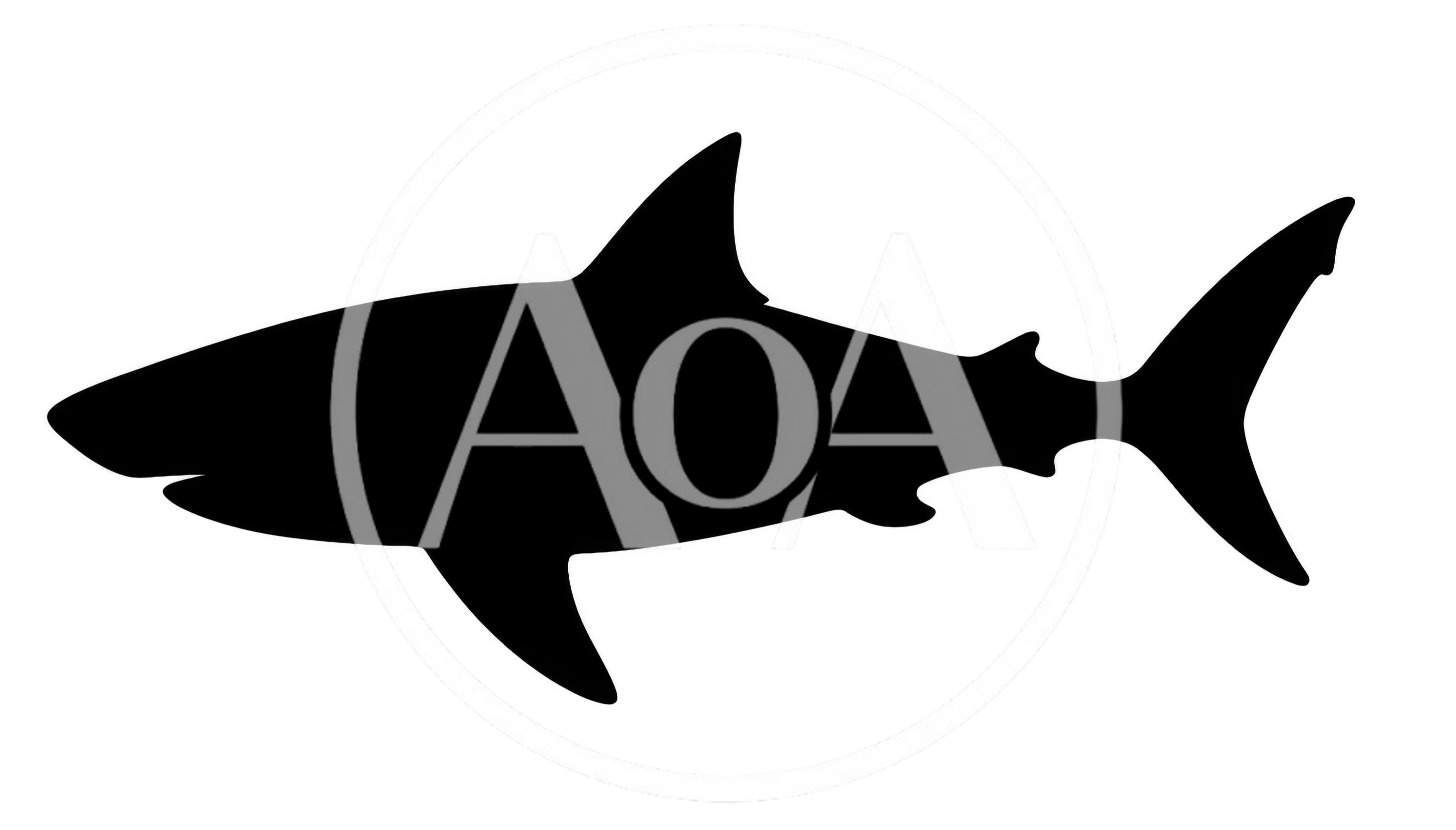 Black Silhouette Of A Great White Shark