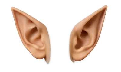 Pair Of Pointed Elf Ears On White Background