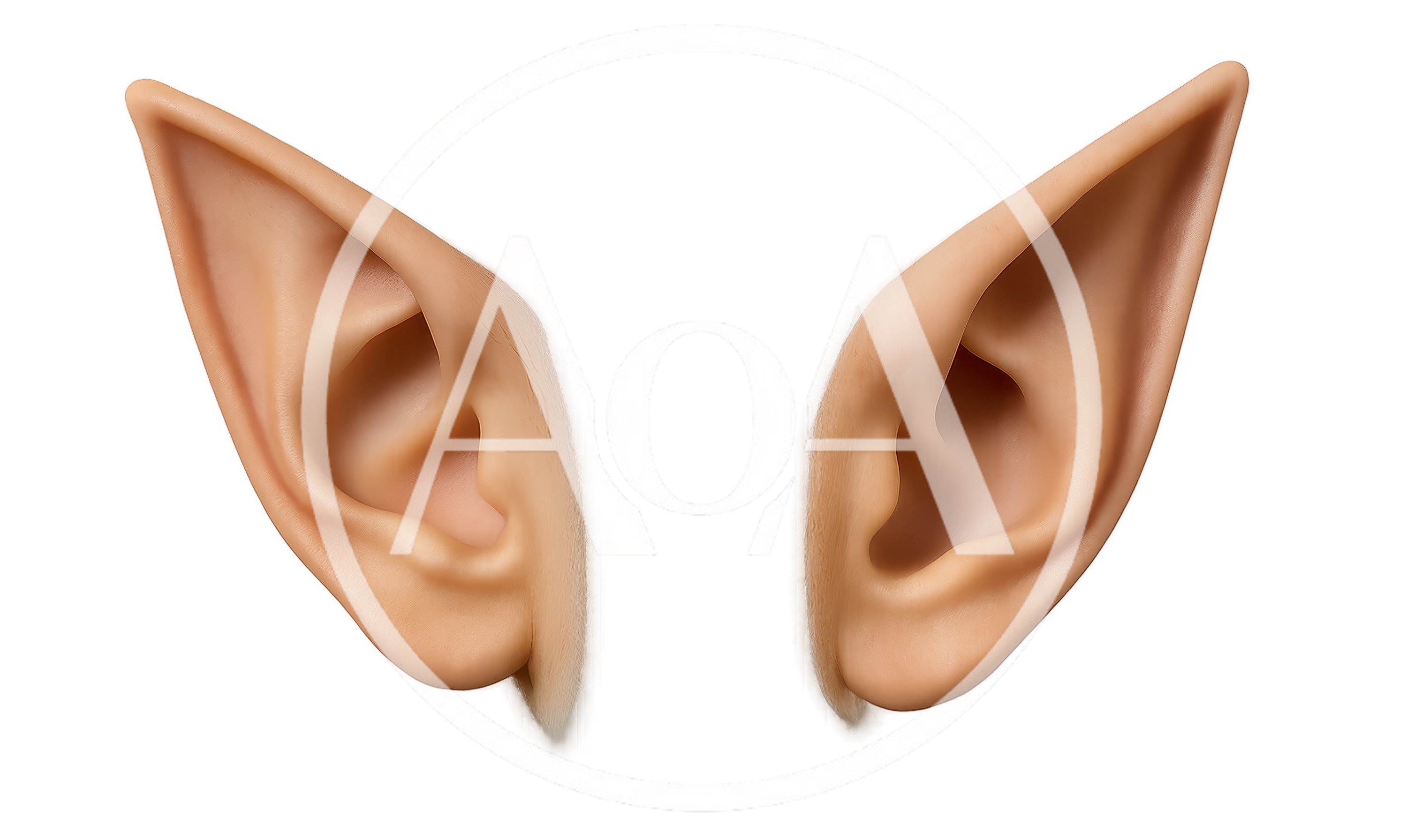 Pair Of Pointed Elf Ears On White Background