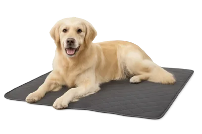 Golden Retriever Dog Lying on a Grey Pet Mat
