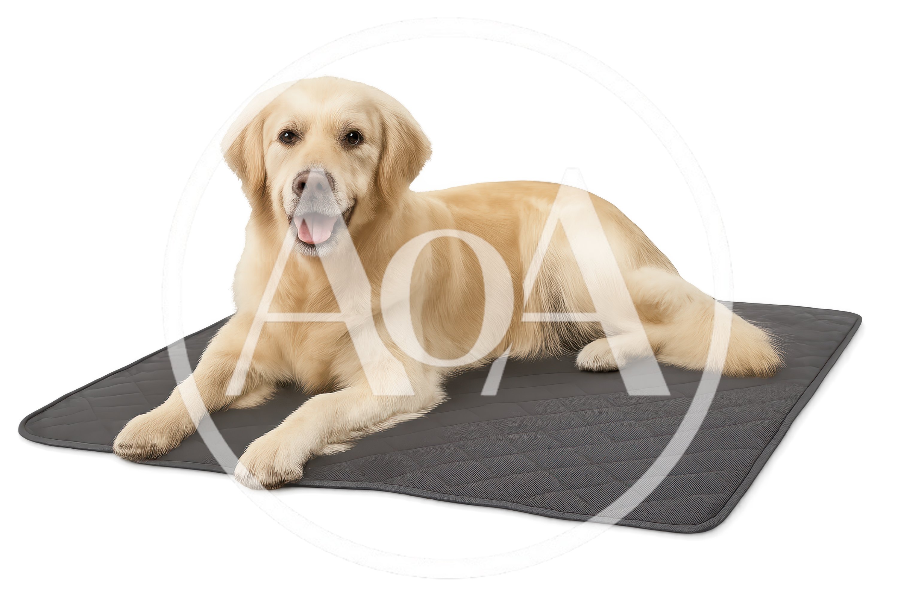 Golden Retriever Dog Lying on a Grey Pet Mat