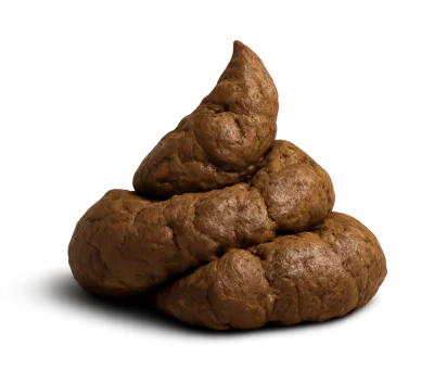 Realistic Brown Feces Pile Isolated On White Background