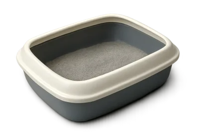 Clean Plastic Cat Litter Box With Sand