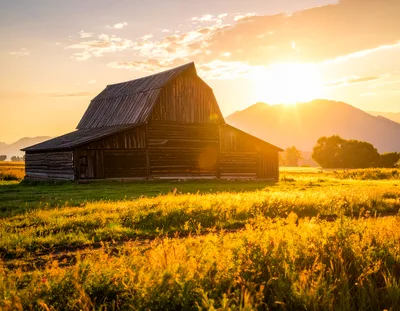 Rustic Wooden Barn In A Golden Meadow At Sunset