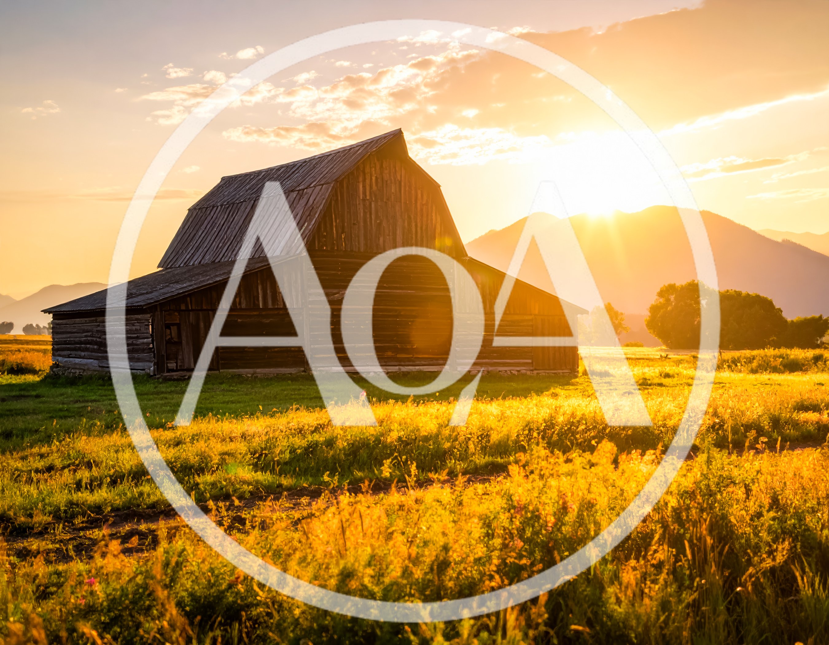 Rustic Wooden Barn In A Golden Meadow At Sunset
