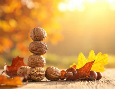 Walnut Stack and Autumn Leaves on Wooden Table