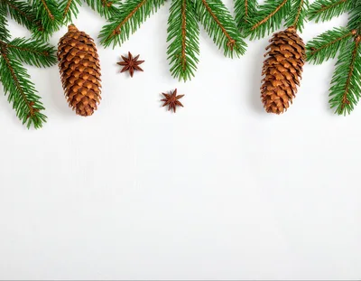 Christmas Pine Branches With Cones And Star Anise