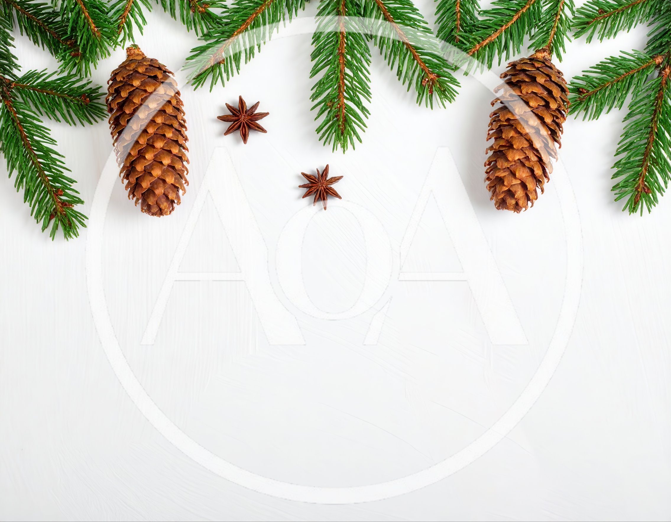 Christmas Pine Branches With Cones And Star Anise