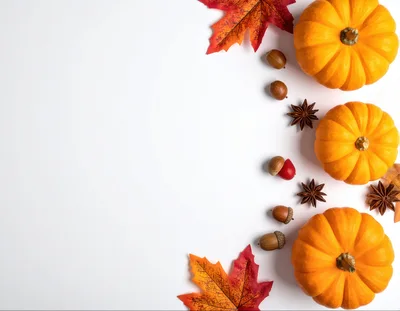 Autumnal Flat Lay With Pumpkins And Fall Foliage