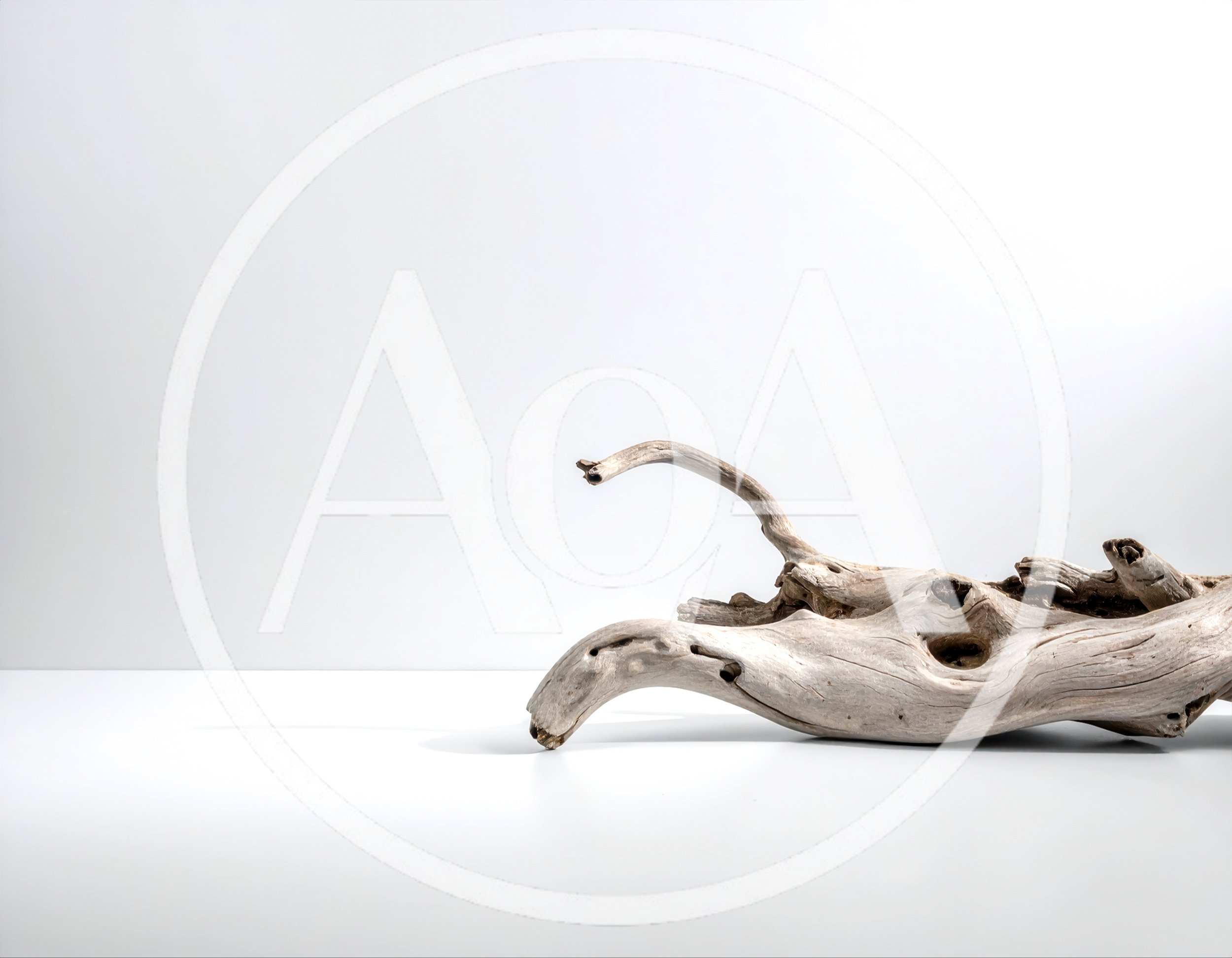 Weathered Driftwood Piece on White Background