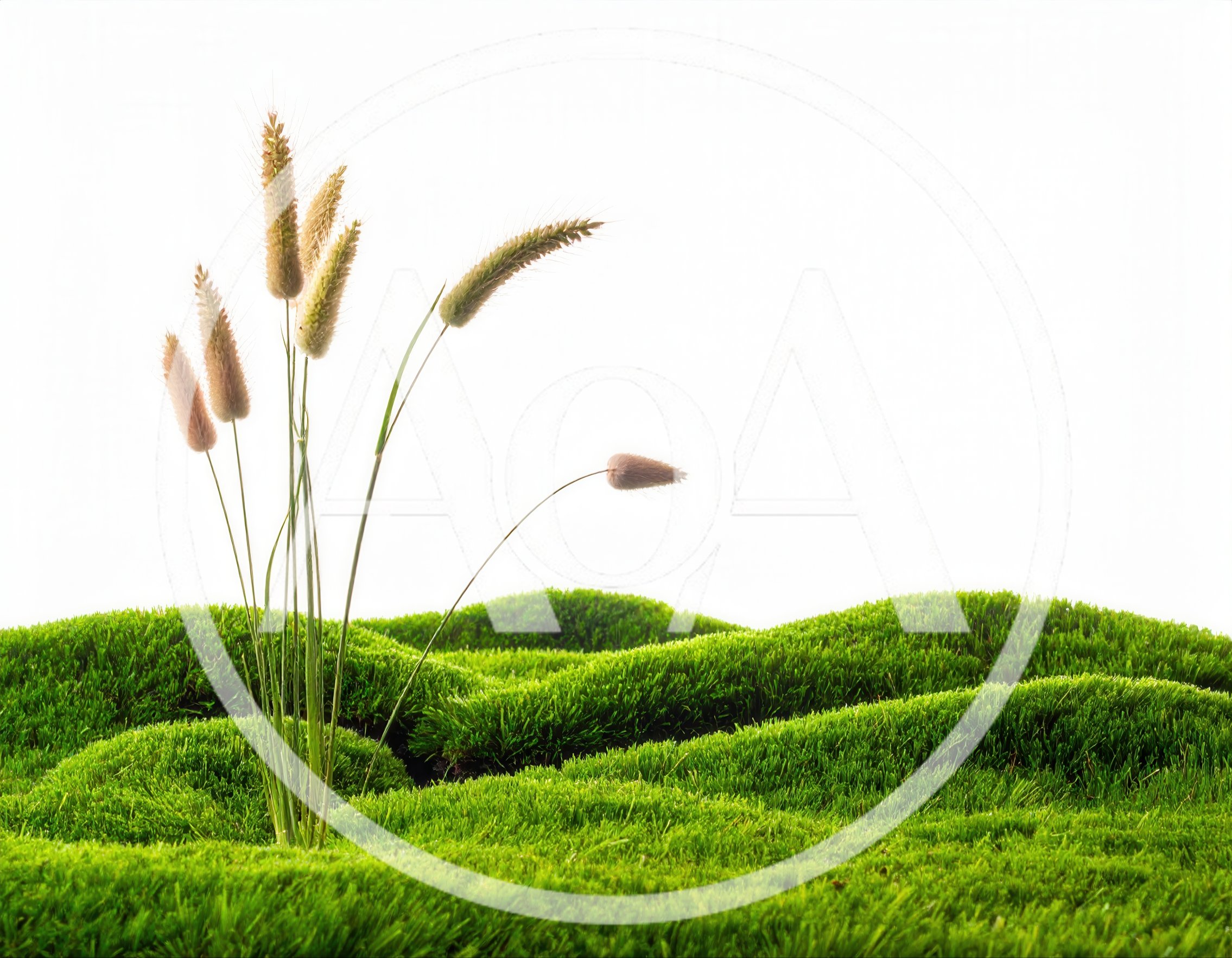 Green Mossy Hills With Tall Grass Stalks