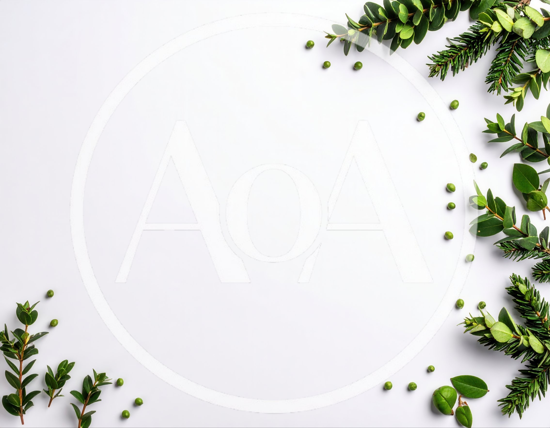 Christmas Greenery Border on White Background