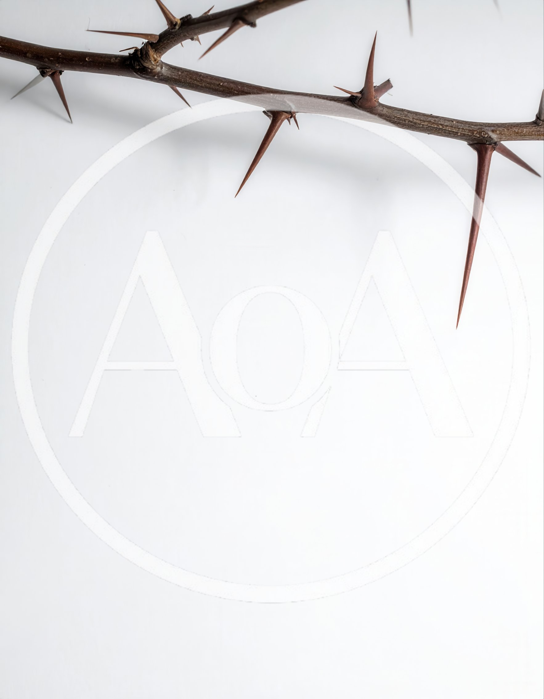 Thorny Branch Isolated On White Background